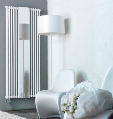 Рушникосушка Zehnder Charleston Mirror CM 2180-12