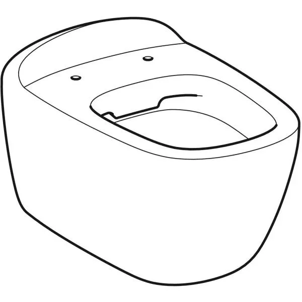 Унитаз подвесной Geberit CITTERIO