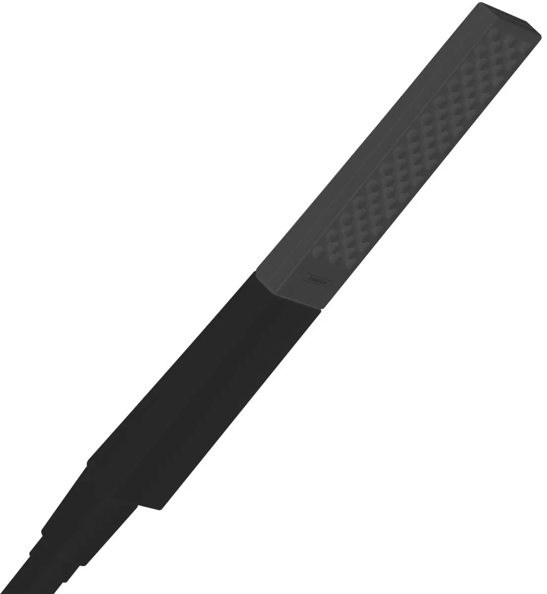 Ручний душ Hansgrohe Rainfinity 26866670