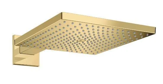 Верхний душ Hansgrohe Raindance E 300 Х 300 1jet 26238990