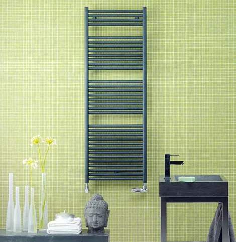 Рушникосушка електричний Zehnder Toga TE-070-050/GD